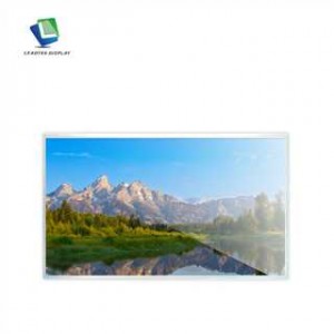 21.5 Inch IPS TFT LCD 1920*1080 Resolution With LVDS Interface Display Panel for Smart Home