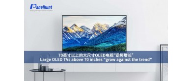 Large OLED TVs above 70 inches "grow against the trend"