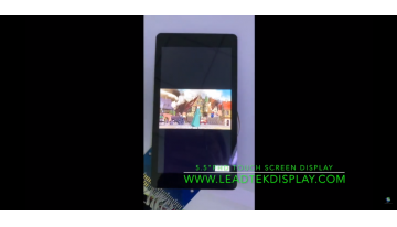 Leadtek 5.5 inch FHD TOUCH SCREEN DISPLAY