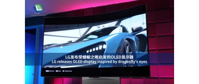 LG releases OLED display inspired by dragonfly's eyes