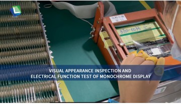 VISUAL APPEARANCE INSPECTION AND ELECTRICAL FUNCTION TEST OF MONOCHROME DISPLAY