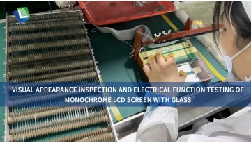 Visual Appearance Inspection and Electrical Function Testing of monochrome lcd screen with Glass