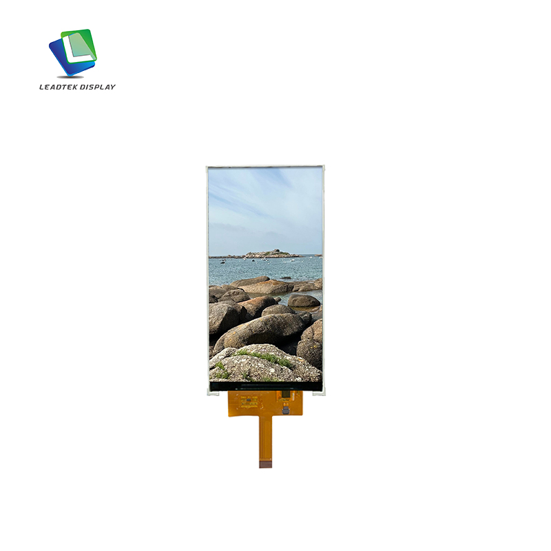 LCD display module